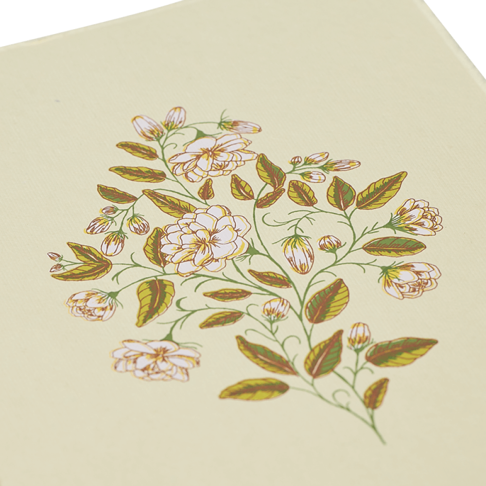 Jasmine Flower Drawing Vector Images (over 1,300)