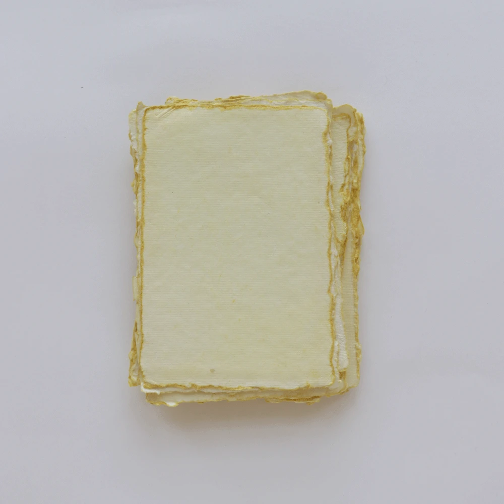 ARTIST'S MARIGOLD PAPER BUNDLE
