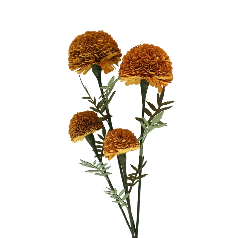 MARIGOLD FLOWER